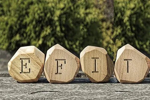 Emotion Focused Individual Therapy